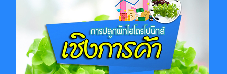 การปลูกผักไฮโดรโปนิกส์เชิงการค้า