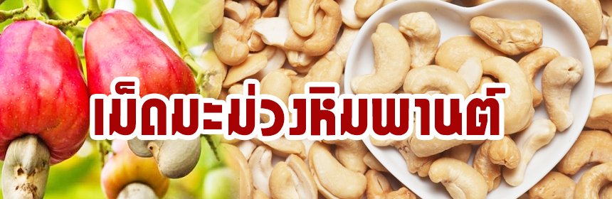 เม็ดมะม่วงหิมพานต์